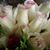 Sandra Hernandez's profile image