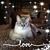 Brackin Brackin's profile image