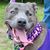 Sherri Fox's profile image