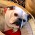 Annie Laurie Wisowaty's profile image