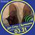 Jeff Hennessee's profile image