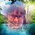 Jill Richmond Stewart's profile image