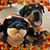 Steve Baker's profile image