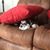 Shirley Vasquez's profile image