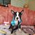 Alisa Carver's profile image