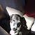Jessica Elaine Wiley's profile image