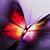 Tommie Kanuck's profile image