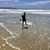Rachel Sherer's profile image