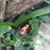 Annette Renee Zubia's profile image
