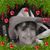 Ineabelle Iglesias's profile image