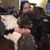 Chrissy Nilsen's profile image
