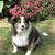 Donna Ferrara's profile image