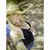 Lynn Rollins's profile image