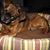 Lois Oliver's profile image