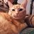 Debi Holt's profile image