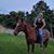 Tomasina Saffell's profile image