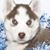 Lee White's profile image