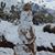Eva Jessen Littmann's profile image