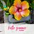 Mary Doutt's profile image