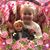 Julie M Holley's profile image