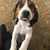 Donna L Binion Lopez's profile image