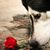Suzanna Barva's profile image