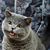 Sharon Cecil's profile image