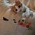 Kathy Haynes Corum's profile image