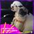 Lexe Perry's profile image