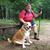 David Wilcox Jr's profile image