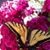 Jan Gilliland Wells's profile image