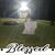 Teri Kramer's profile image