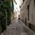Lori Goyette Griffin's profile image
