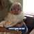 Paulena Bergeron's profile image