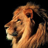 Bobby S.'s profile image