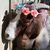 Raquel Seibert's profile image