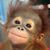 Monica Howard's profile image