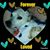 Robin Tallent Pippen's profile image
