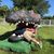 Christopher Harris's profile image