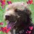 Samuel Arguilez's profile image