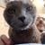 Karl Musser's profile image