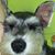 Leslie Dill's profile image
