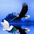 Jose Martinez's profile image