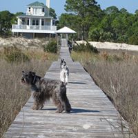 Patricia Hardman's profile image