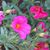 Kathi Pendleton-Mays's profile image