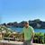 Moises Nieves's profile image