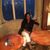 Tonya Dykes's profile image