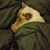 Nicky Bowen's profile image