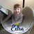 Stacy Lynn Rodgers's profile image