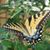 Judy Gaskin's profile image